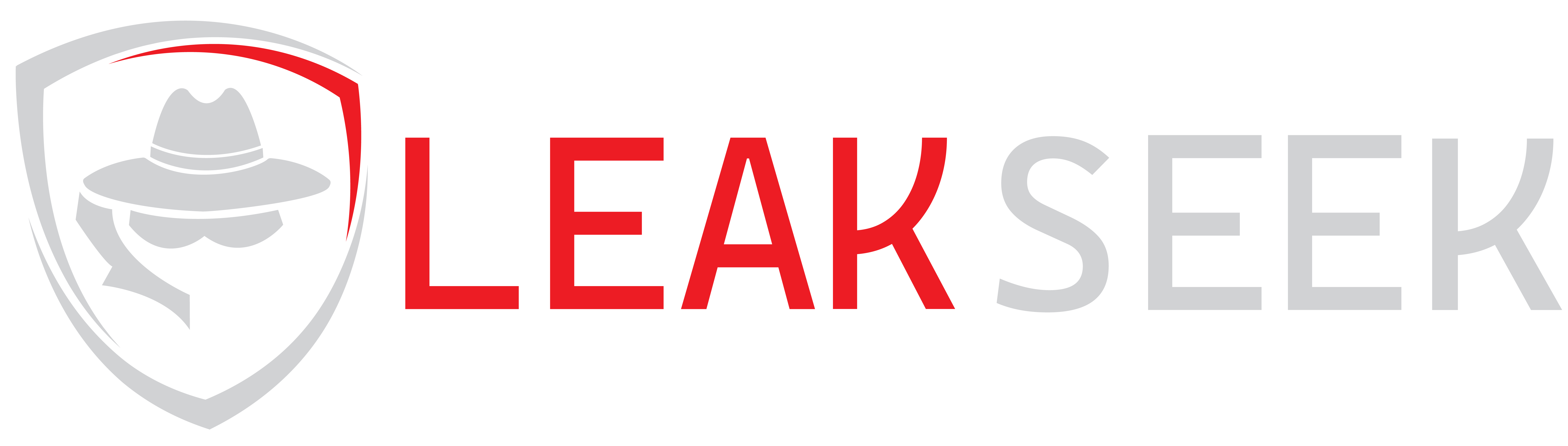 LeakSeek